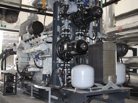 Газовый генератор PowerLink GE1000C-NG