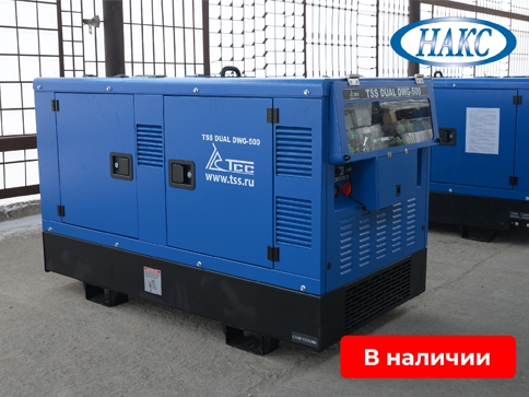 Дизельный сварочный генератор TSS DUAL DWG-500